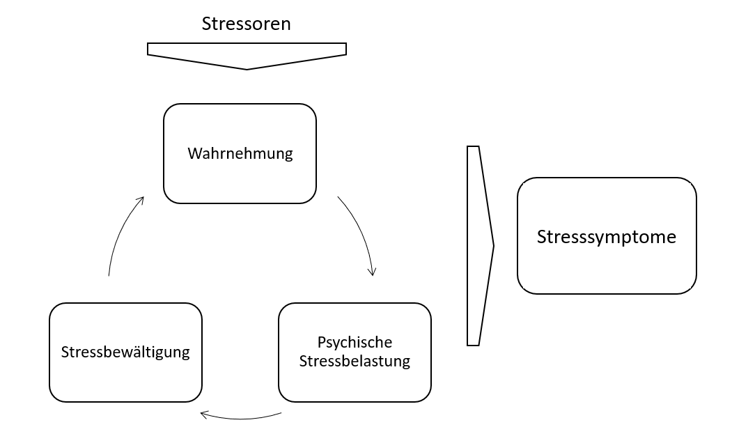 Das SCI-Stressmodell